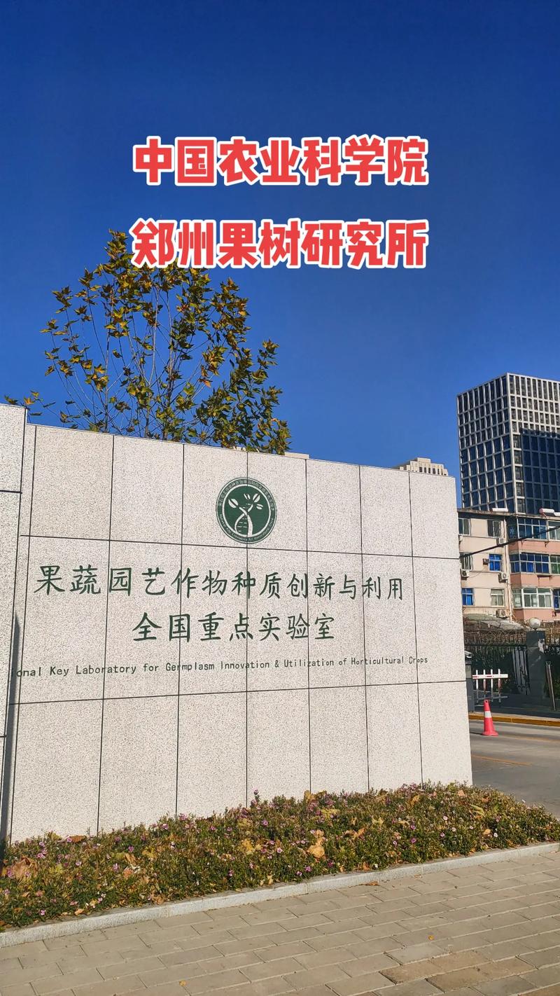 种植误区：农民朋友们需要警惕的问题